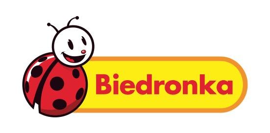 Sklepy wielkopowierzchniowe